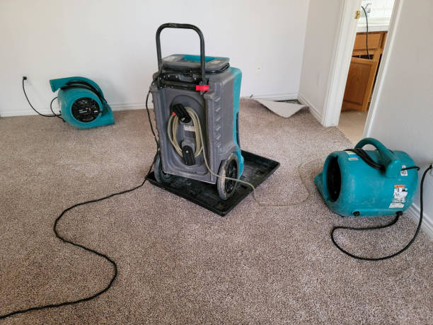 Best Residential water damage restoration  in Chatsworth, IL