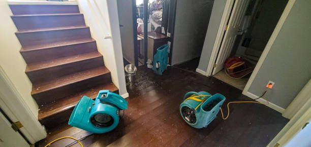 Best Flood damage cleanup  in Chatsworth, IL