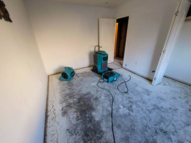 Best Water damage restoration near me  in Chatsworth, IL