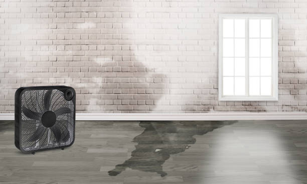 Best Sewage cleanup and water damage restoration  in Chatsworth, IL