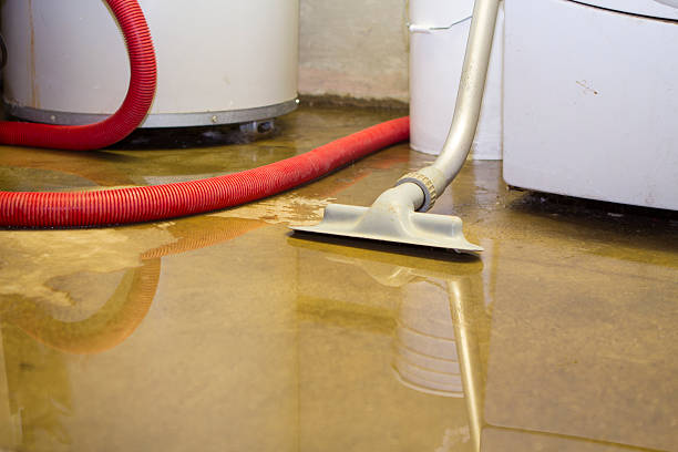 Trusted Chatsworth, IL Water damage restoration Experts