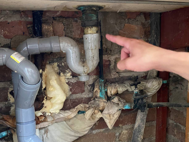 Best Mold removal after water damage  in Chatsworth, IL